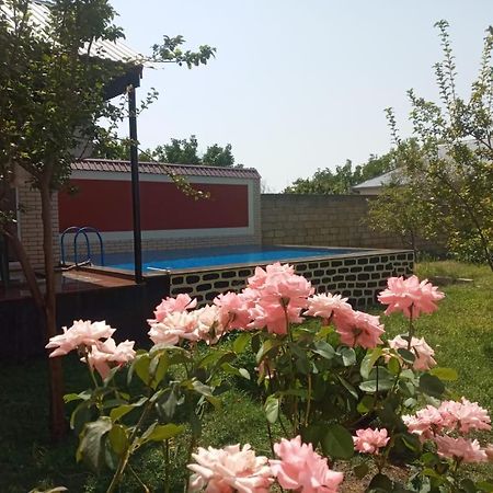 Villa Vilish Kebele Dış mekan fotoğraf