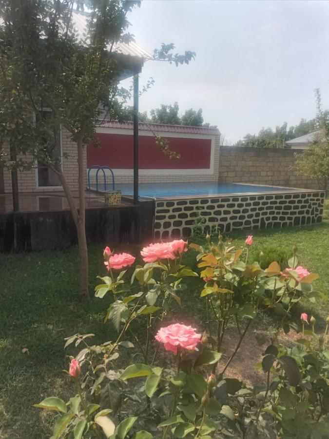 Villa Vilish Kebele Dış mekan fotoğraf