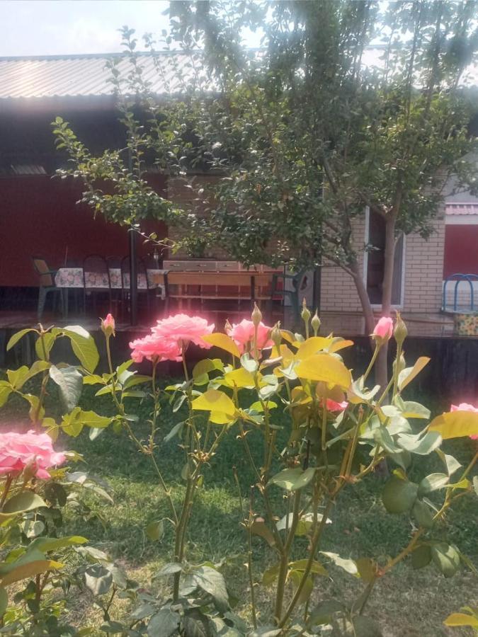 Villa Vilish Kebele Dış mekan fotoğraf