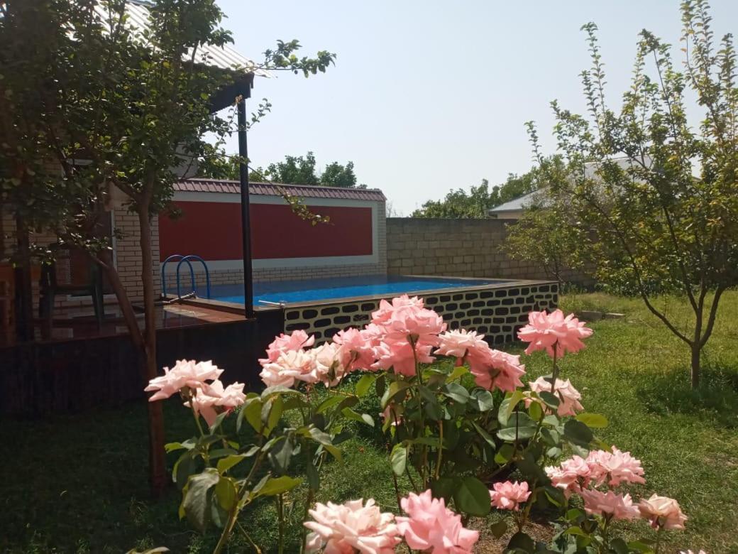 Villa Vilish Kebele Dış mekan fotoğraf